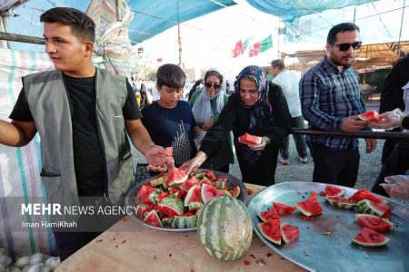 خاک پای زائران توتیای چشم ماست/ درس دلدادگی در مکتب آزادگی