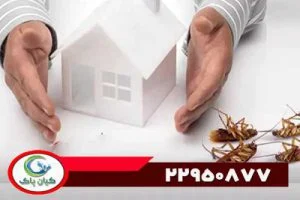 صنعت سم برای سوسک: بهترین راهکارها برای مقابله با آفات خانگی و صنعتی