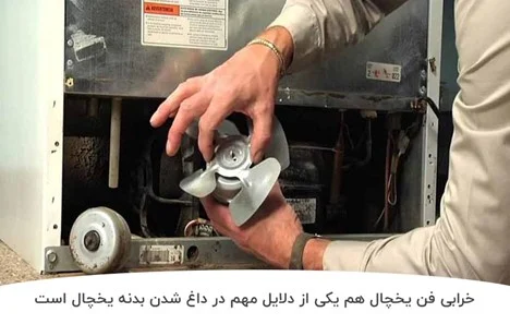 یخچال علت داغ شدن بدنه یخچال ویرپول