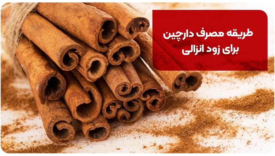 طریقه مصرف دارچین برای زود انزالی